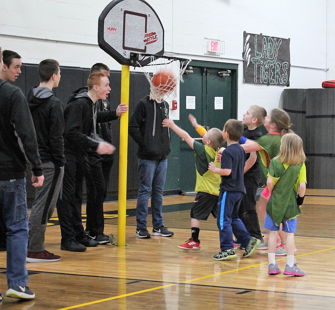 Little Tigers took to the court during half-time in St. Regis on Feb. 9 during games against Lincoln. While varsity boys cheered on the future school athletes. (Kathleen Woodford/Mineral Independent).