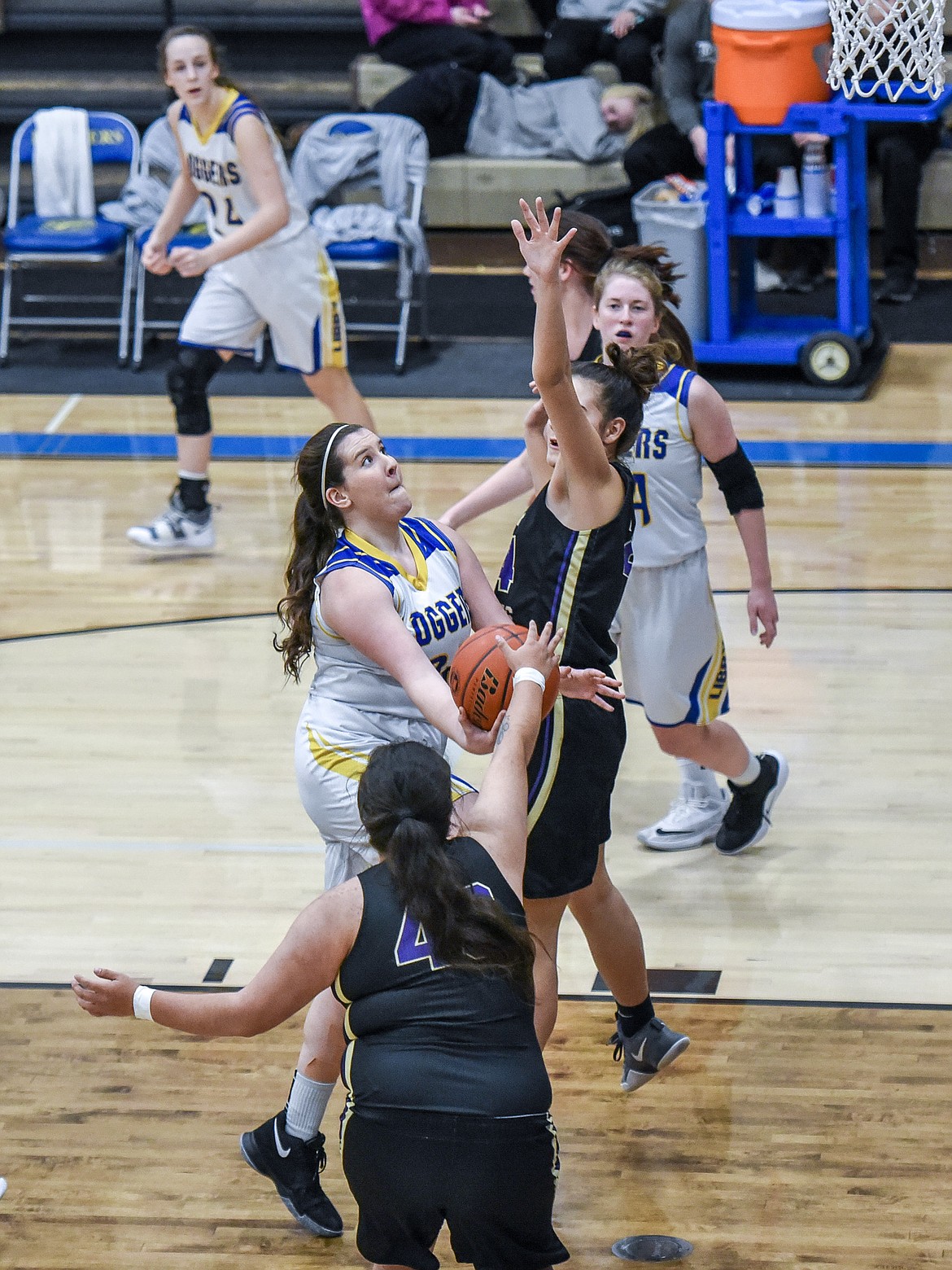 Following a smooth pass from Libby senior Jayden Winslow, senior Sammee Bradeen drove into the middle for a layup early in the second quarter Saturday against Polson. (Ben Kibbey/The Western News)