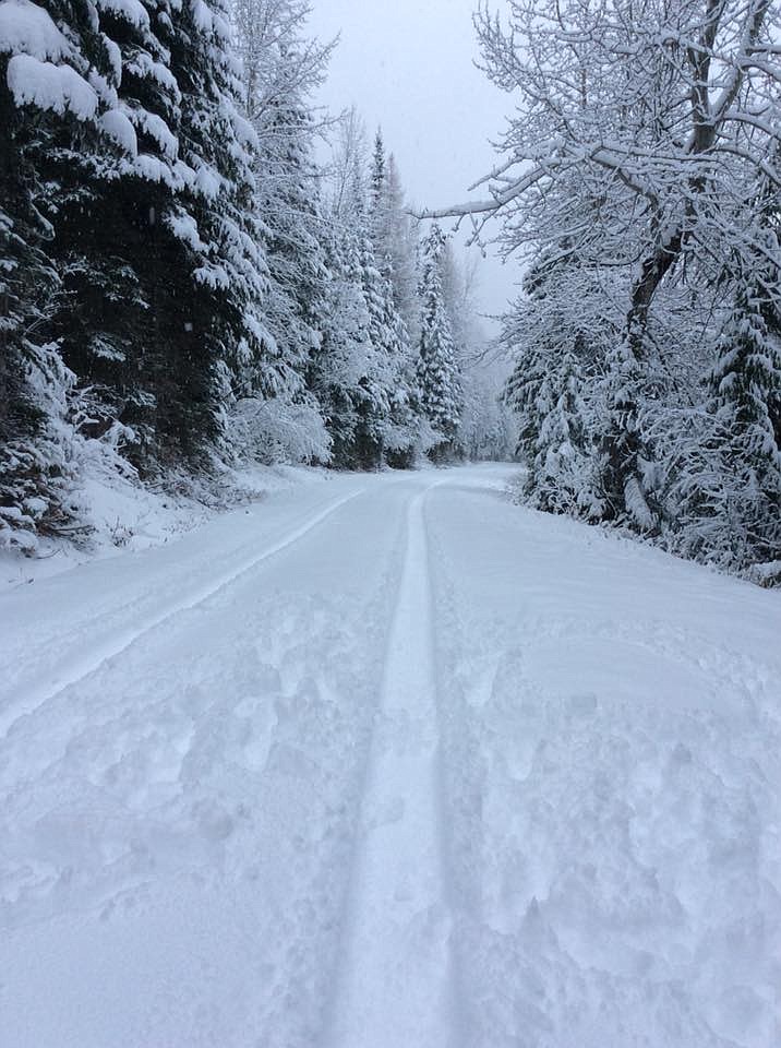 Photo by CHRISTINA DOWELL
Sometimes the best thing to do during winter is to go on an adventure up into the Yaak, near Troy.