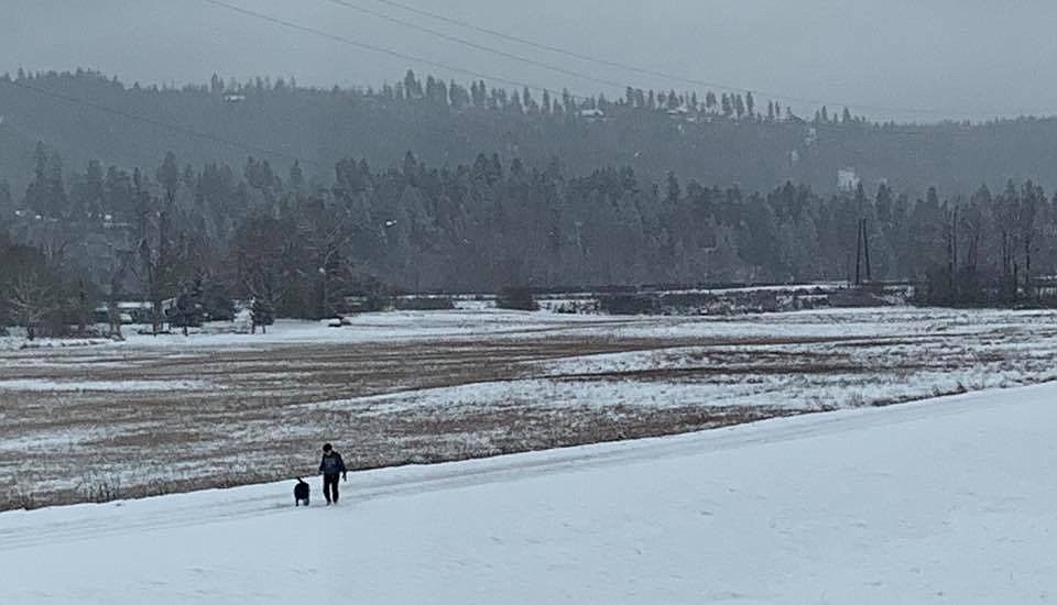 Photo by MELINDA BRINKMAN
Winter is best enjoyed with a friend.