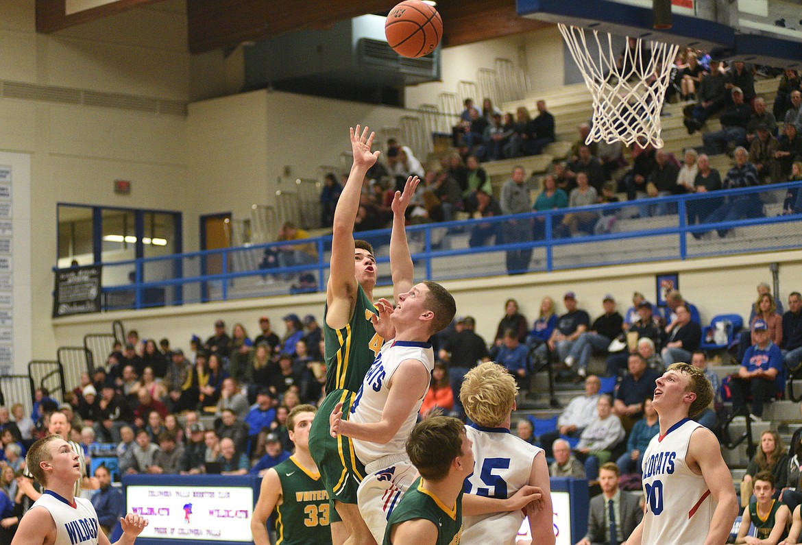 Lee Walburn puts up a floater during Thursday's 60-39 beatdown of the Wildcats at Columbia Falls. (Daniel McKay/Whitefish Pilot)