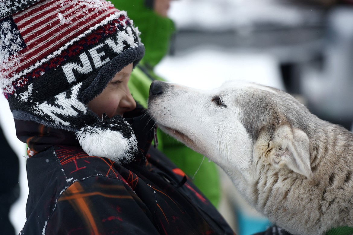 Owen Thiel, of Kalispell, spends some time with Queen, from Hidden Valley Huskies of Lowell, Arkansas, after her race at the Flathead Classic at Dog Creek Lodge in Olney on Saturday, Feb. 23. (Casey Kreider/Daily Inter Lake)