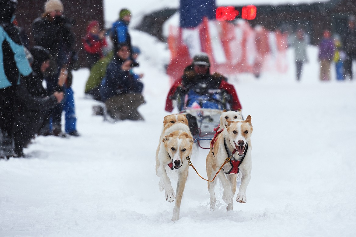A musher leads his six-dog team out onto the course at the Flathead Classic at Dog Creek Lodge in Olney on Saturday, Feb. 23. (Casey Kreider/Daily Inter Lake)