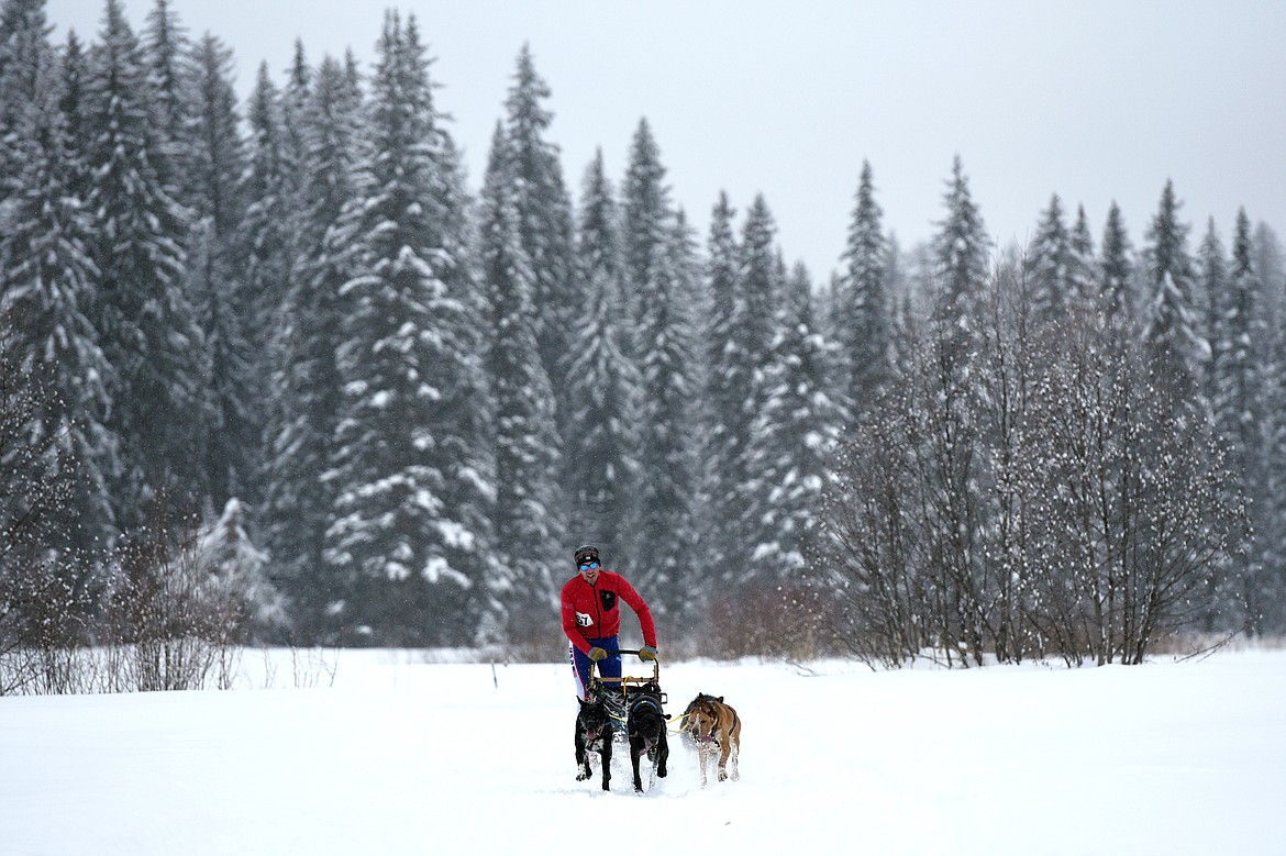 A musher leads a four-dog team through the course at the Flathead Classic at Dog Creek Lodge in Olney on Saturday, Feb. 23. (Casey Kreider/Daily Inter Lake)
