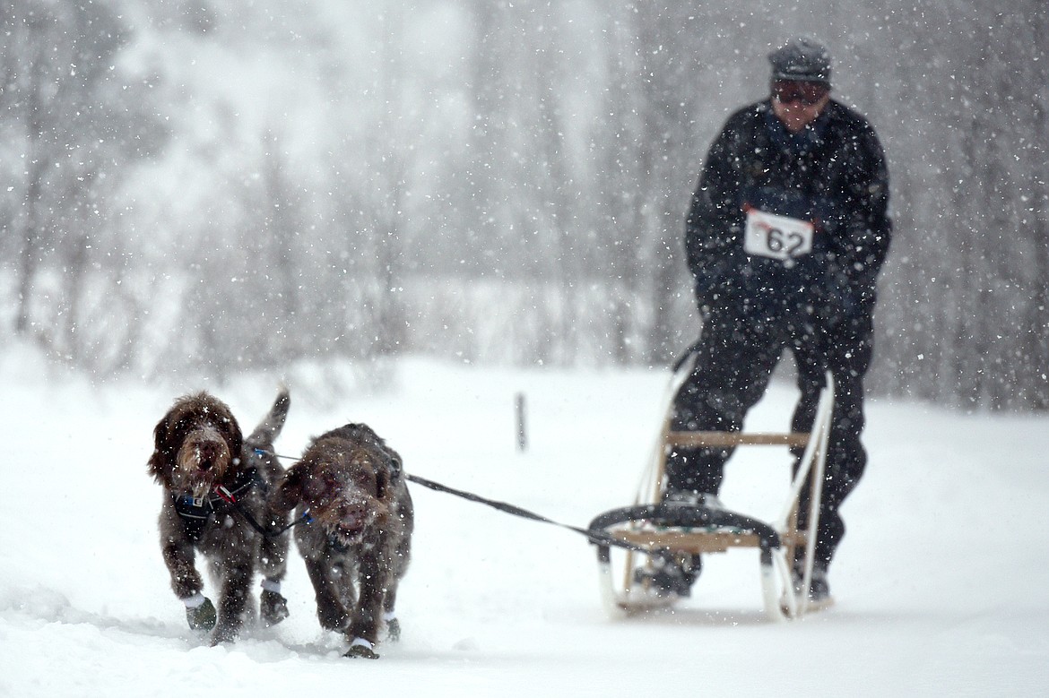 A musher leads a two-dog team through the course at the Flathead Classic at Dog Creek Lodge in Olney on Saturday, Feb. 23. (Casey Kreider/Daily Inter Lake)