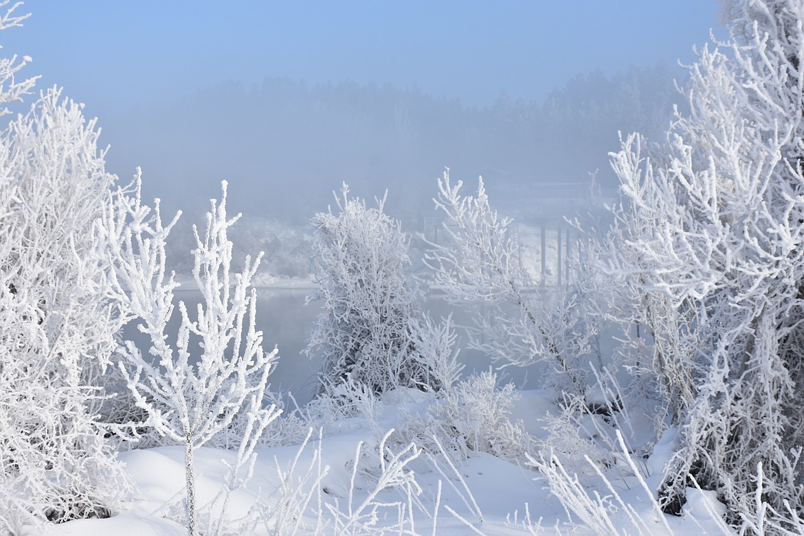 Photo by DON BARTLING
Hoar-frost formed early in the morning west of Bonners Ferry by the Kootenai River.