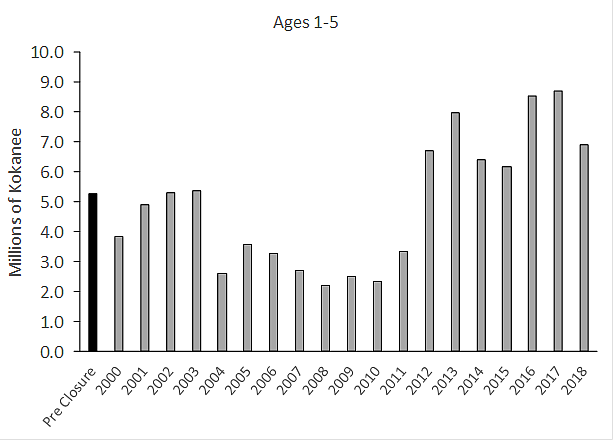 Courtesy of IDAHO FISH &amp; GAME
Numbers of kokanee in Lake Pend Oreille have fluctuated over the years, but most recently numbers are likely as high as in the 1970s when catching a lot of small fish was the rule. Lake trout suppression in LPO began in 2006, which may be one factor for an increase, while a crash i mysis shrimp numbers was another, according to IDFG.