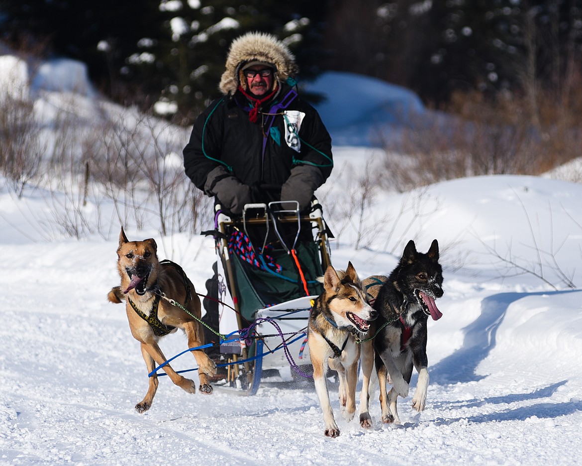 Butch Parr and his team competes in the four-dog race during the Flathead Classic Sled Dog Race held at Dog Creek Lodge last weekend. (Daniel McKay/Whitefish Pilot)