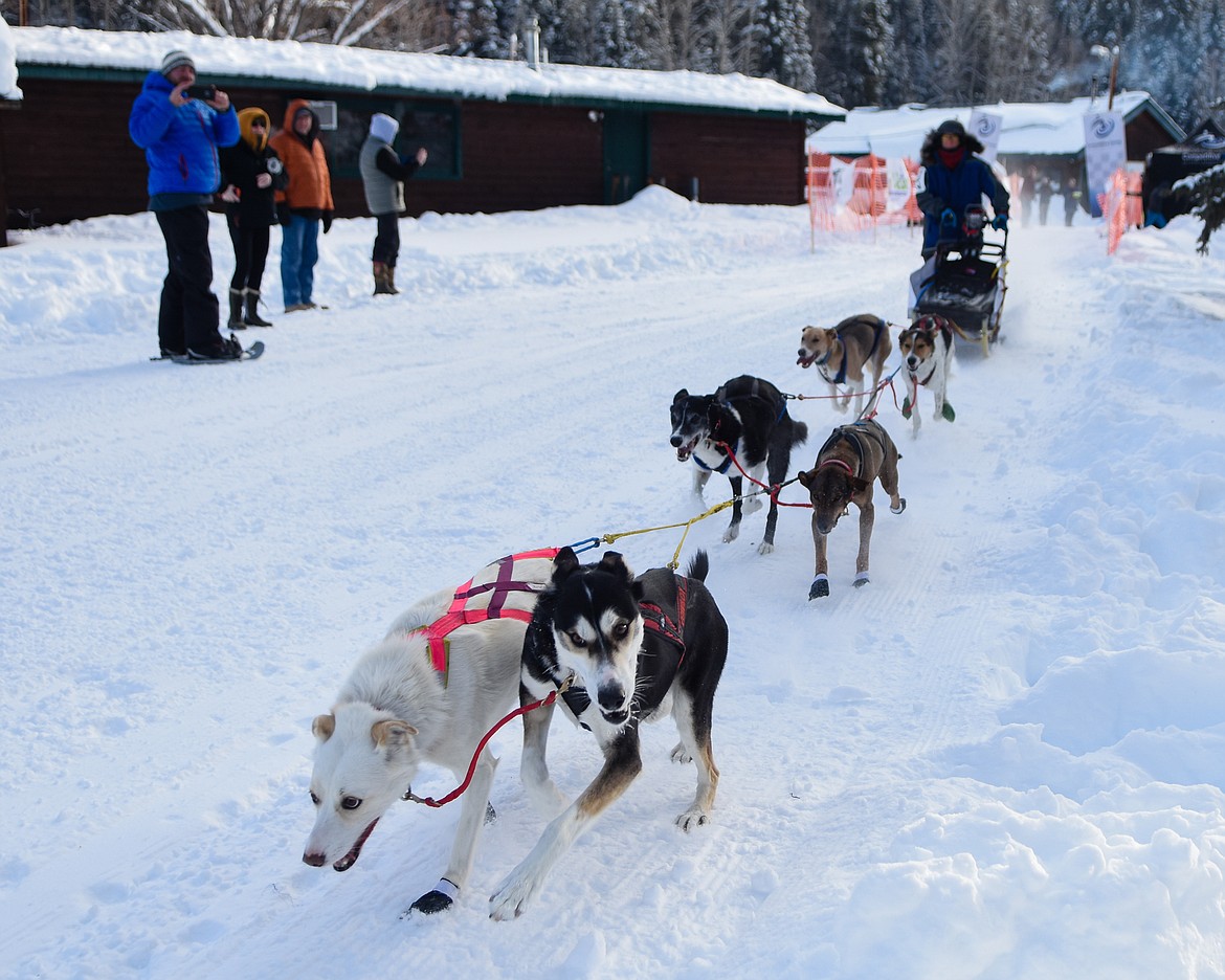 A six-dog team gets started during the Flathead Classic Sled Dog Race held at Dog Creek Lodge last weekend. (Daniel McKay/Whitefish Pilot)