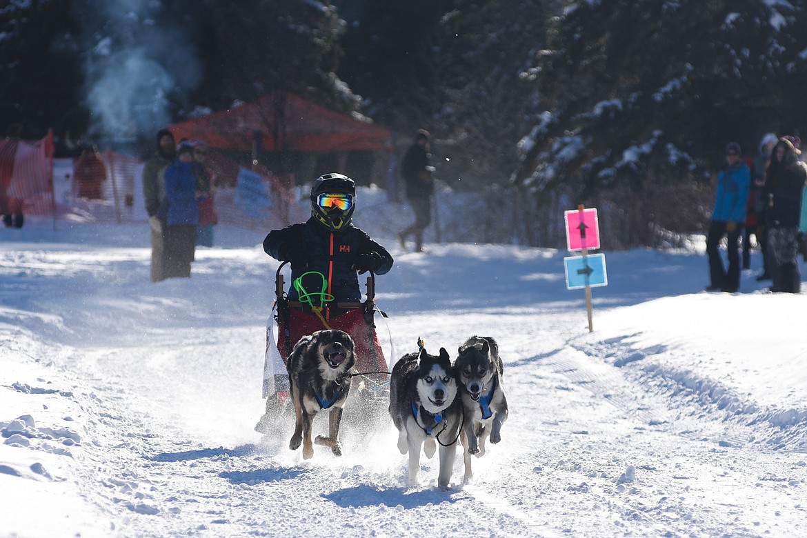 Harleigh Dutton of Pinehurst, Idaho, competes in the four-dog race during the Flathead Classic Sled Dog Race held at Dog Creek Lodge last weekend. (Daniel McKay/Whitefish Pilot)