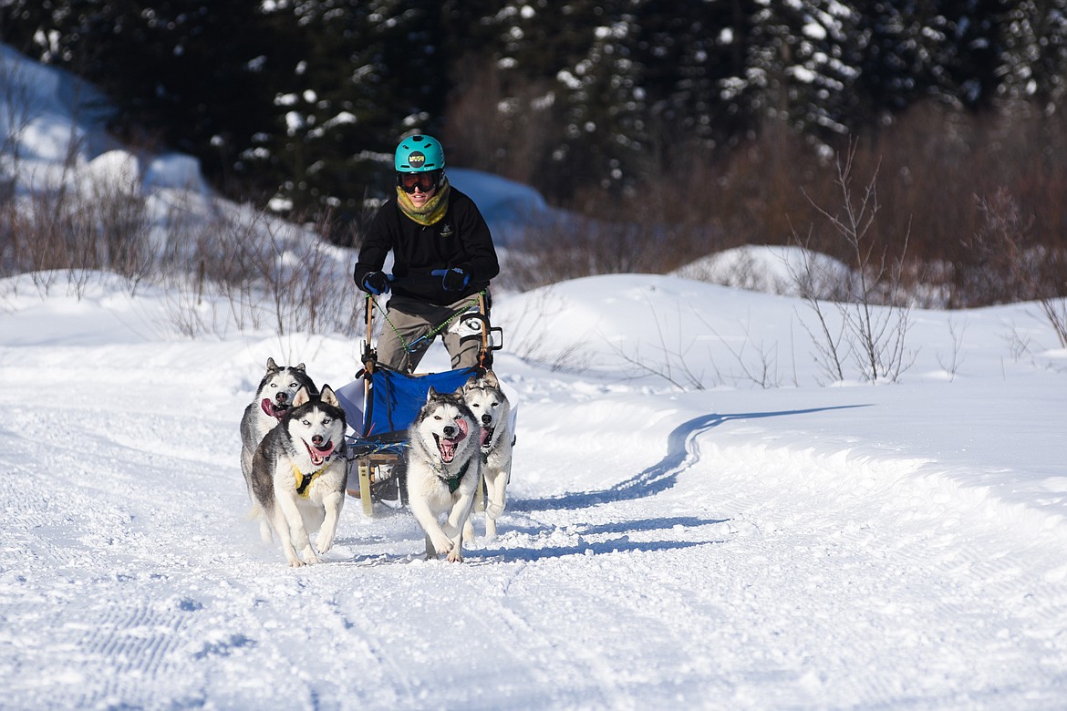 Brandi Williamson and her team round a curve during the Flathead Classic Sled Dog Race held at Dog Creek Lodge last weekend. (Daniel McKay/Whitefish Pilot)