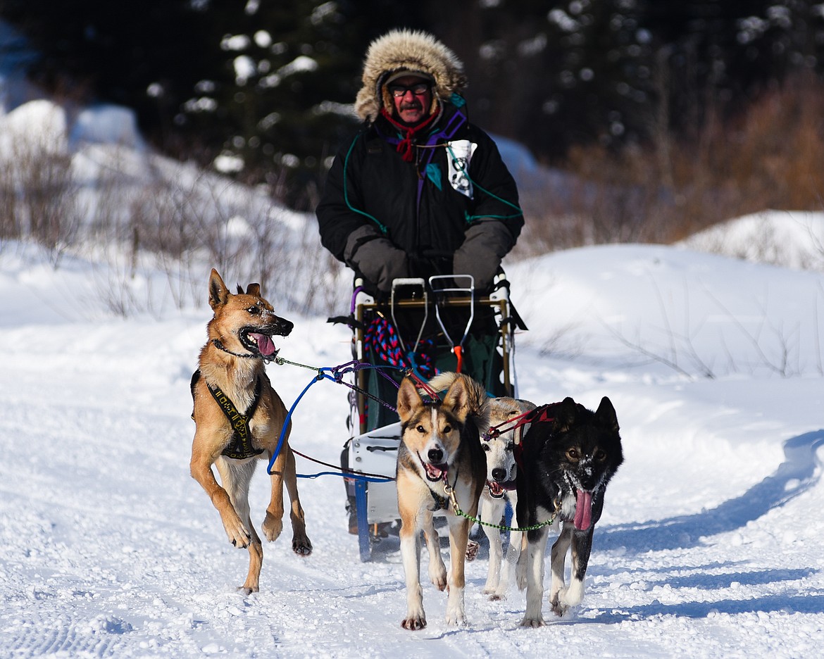 Butch Parr and his team competes in the four-dog race during the Flathead Classic Sled Dog Race held at Dog Creek Lodge last weekend. (Daniel McKay/Whitefish Pilot)
