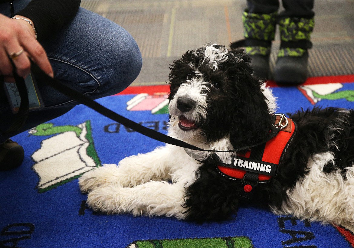 Blue poses for the camera during his visit to Winton Elementary School.