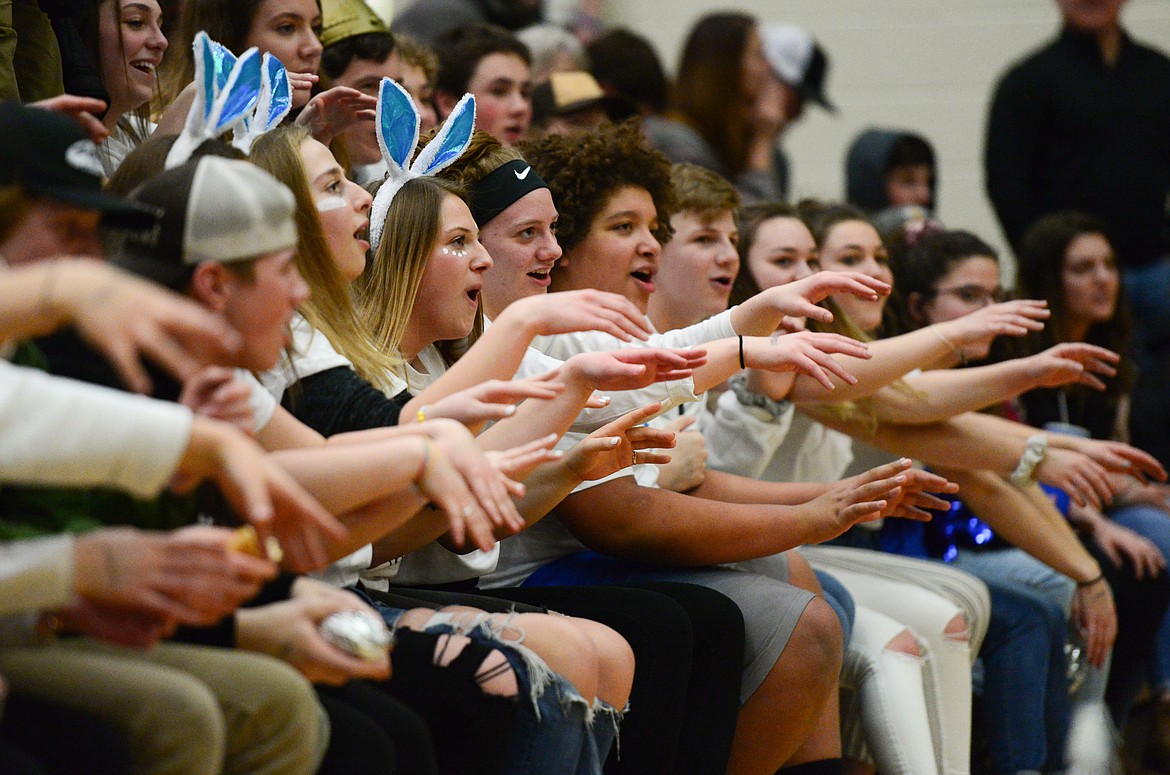 Bigfork fans cheer on the Vikings as they face Loyola Sacred Heart in the State Class B boys' basketball championship at the Belgrade Special Events Center in Belgrade on Friday. (Casey Kreider/Daily Inter Lake)