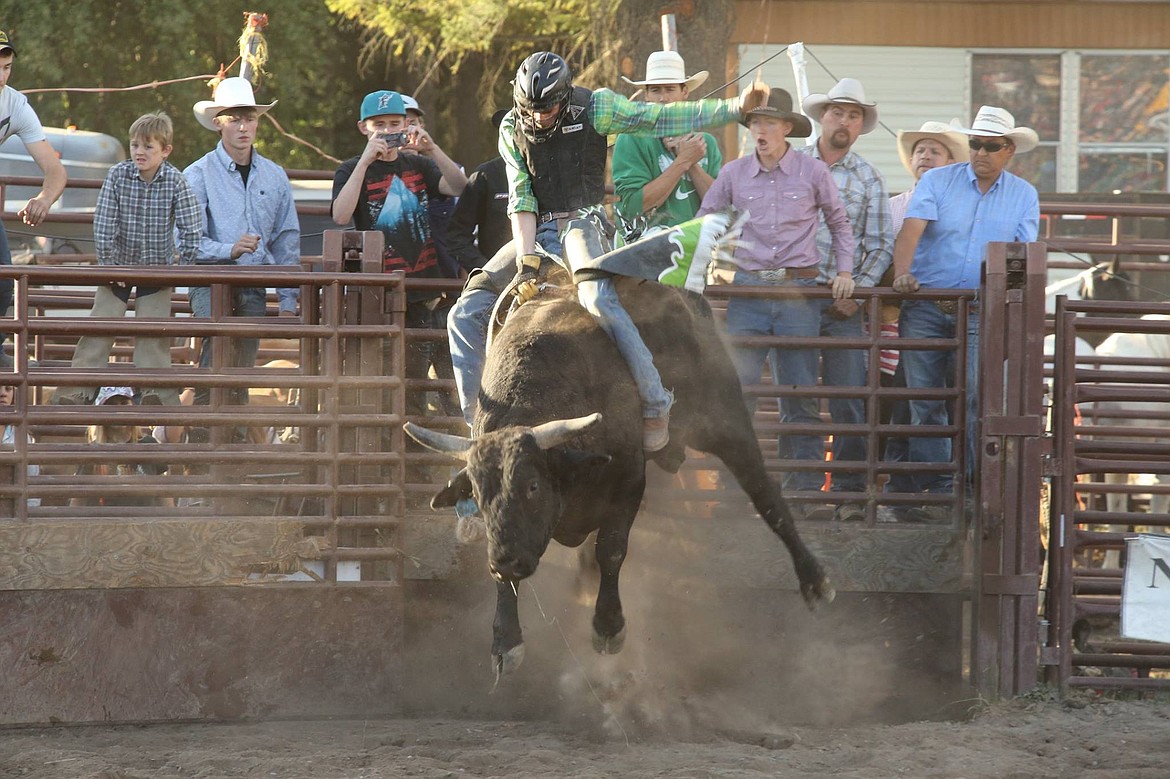 Columbia Falls bull rider makes professional debut Hungry Horse News