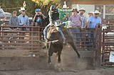 Columbia Falls bull rider makes professional debut