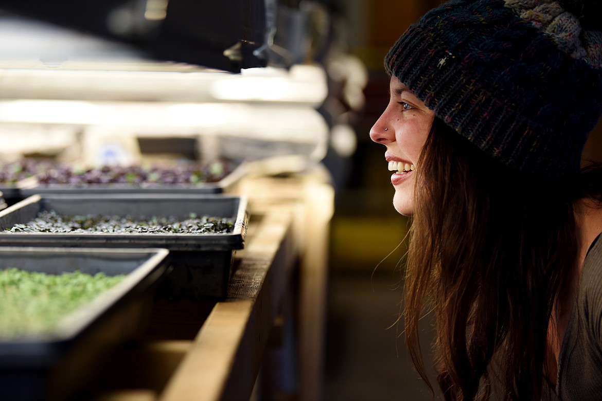 Emma Ek looks in at the growing microgreens at Heyday Homestead in Lower Valley.(Brenda Ahearn/Daily Inter Lake)