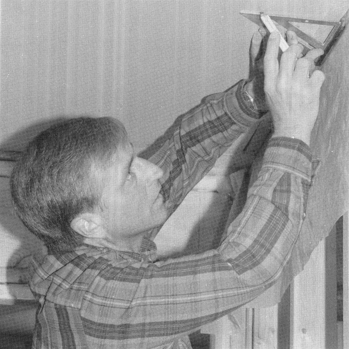 Montana Governor Marc Racicot came home to Libby Monday and worked on the community’s first Habitat for Humanity house. (Joe Chopyak photo, Aug. 28, 1996)