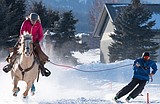 Locals do well at skijoring event