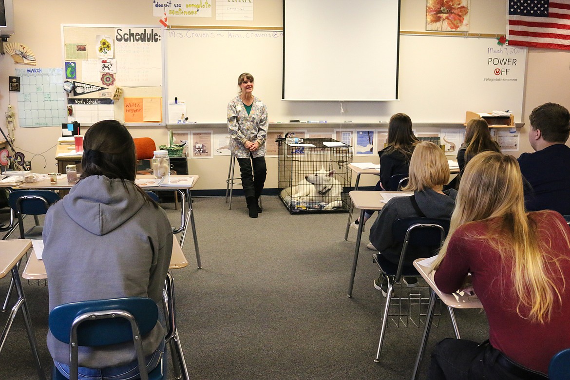 Photo by MANDI BATEMAN
Badger, the dog, joined veterinarian Beth Walker in the classroom on Career Day.