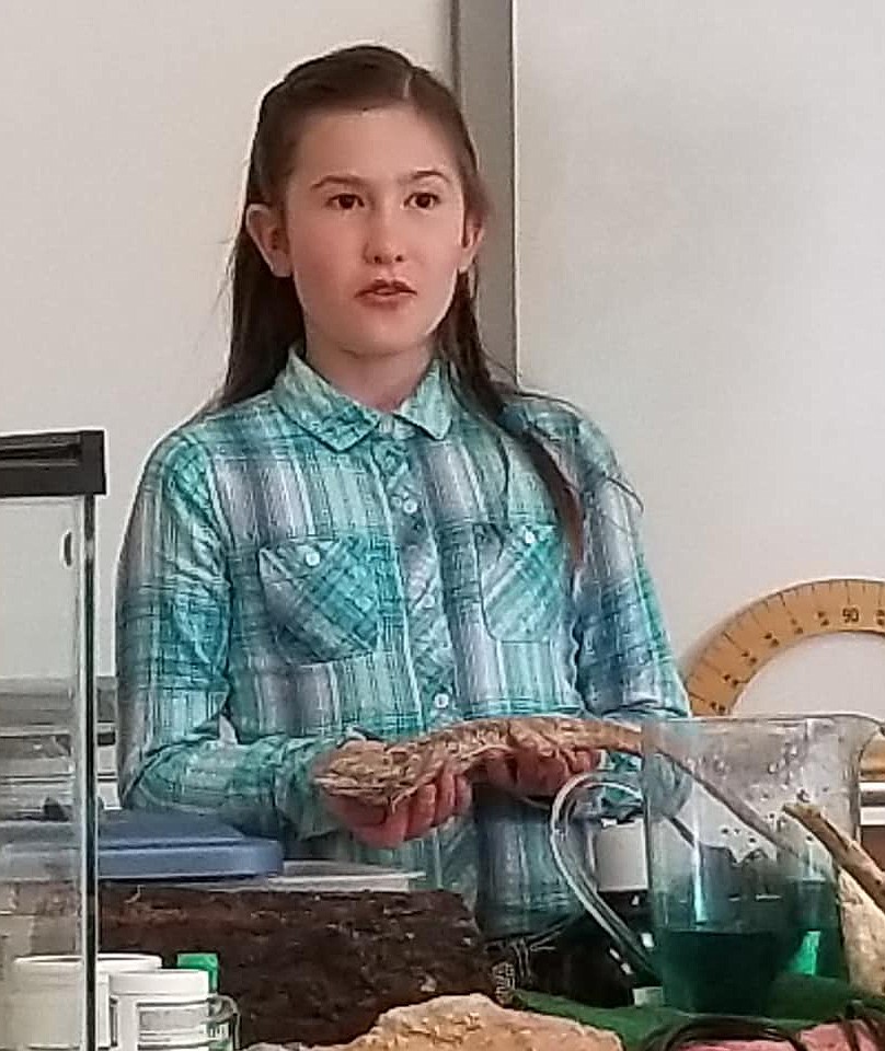 MARINA TULLOCH of Hot Springs qualified for finals of 4-H Competition Days with her &#147;Dragons Alive!&#148; presentation. (Carolyn Hidy photos/Clark Fork Valley Press)