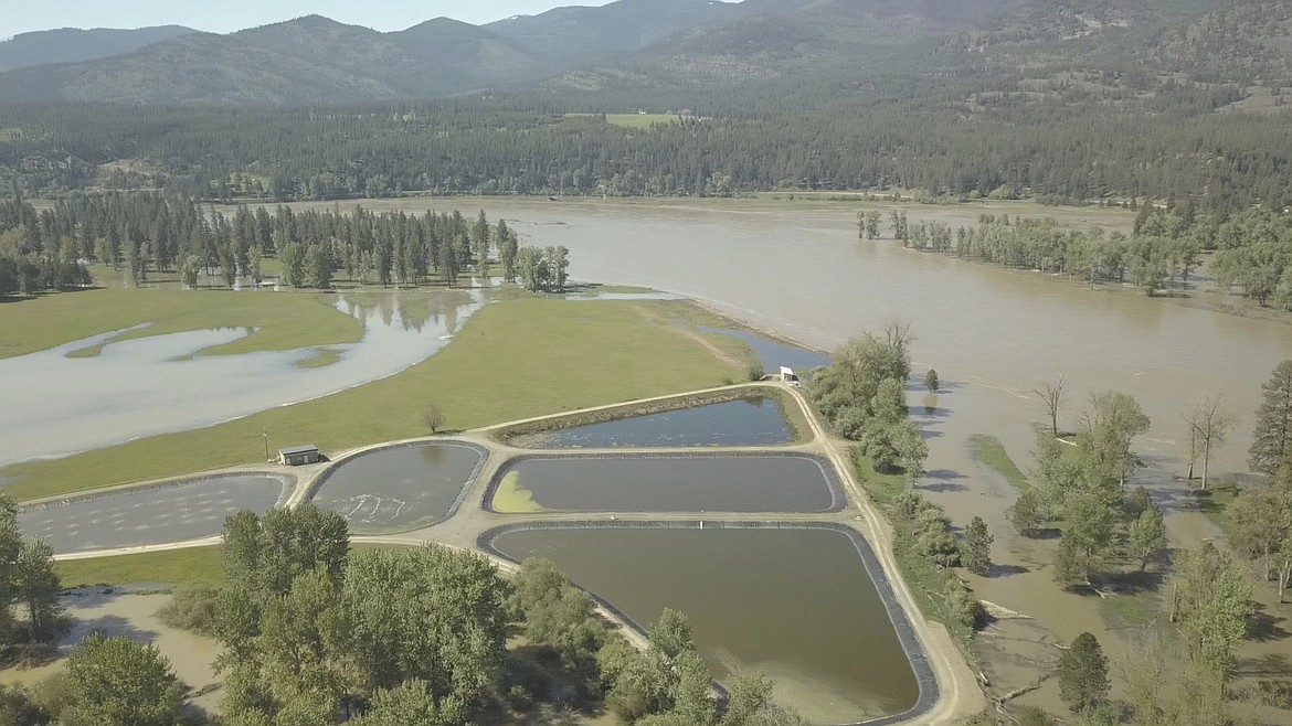 FLOOD WATERS threatened to breach the Plains sewer lagoons during the 2018 flood and washed away a large portion of the bank. (Photo courtesy of Town of Plains)