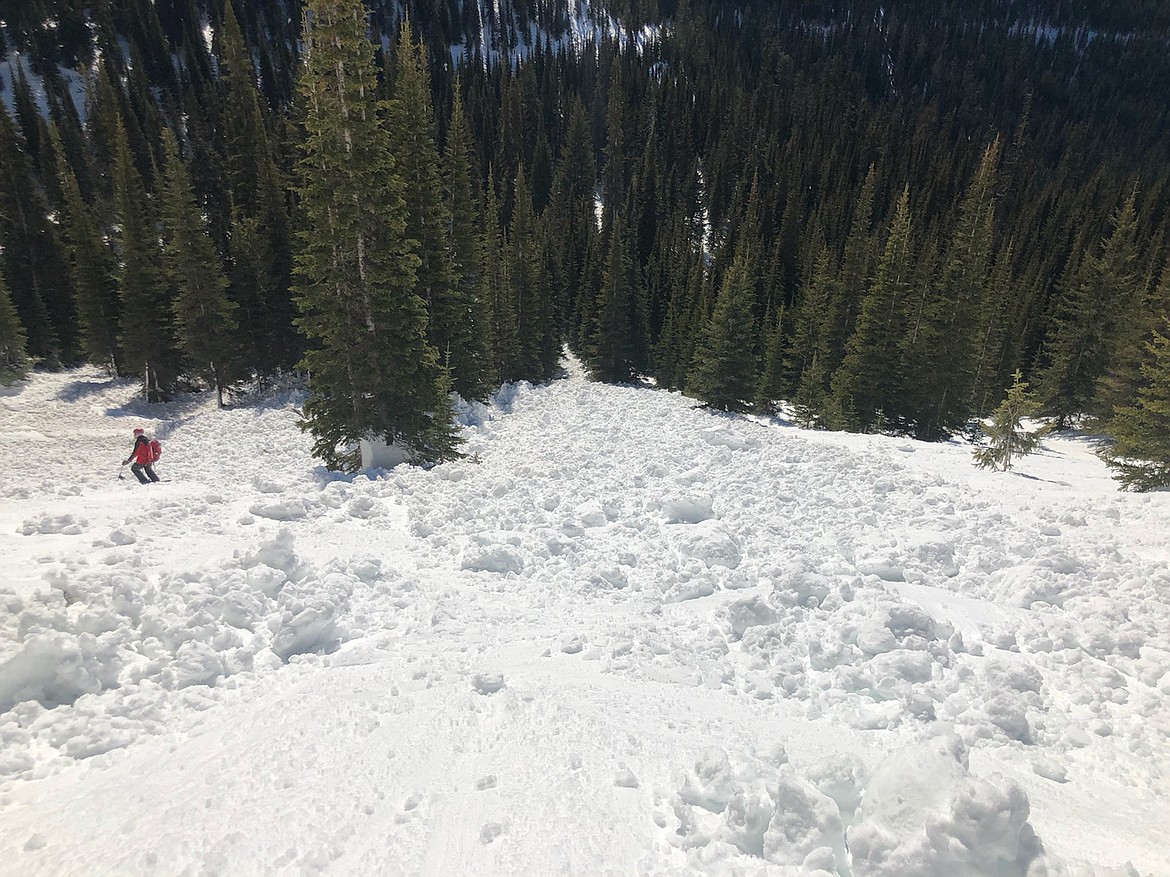 Whitefish Mountain Resort ski patrol moves through avalanche debris in the Hellroaring Basin area. (Flathead Avalanche Center photo)