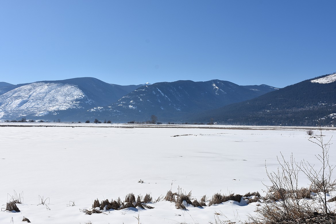 A view looking southwest toward the Selkirk Mountains from the Boundary Creek Road.