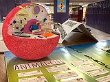 To model a cell, students made cool models, some even baked a cake
