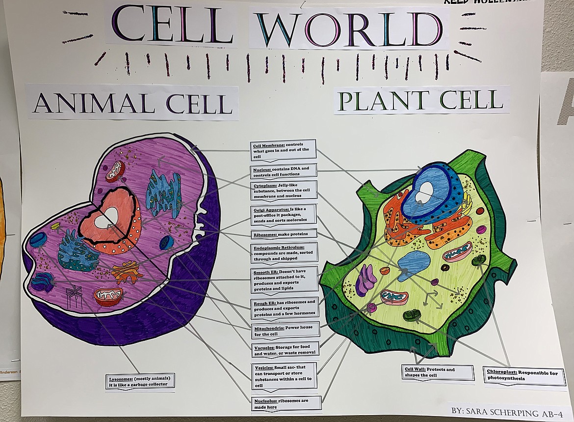 Intricate drawings were also completed.