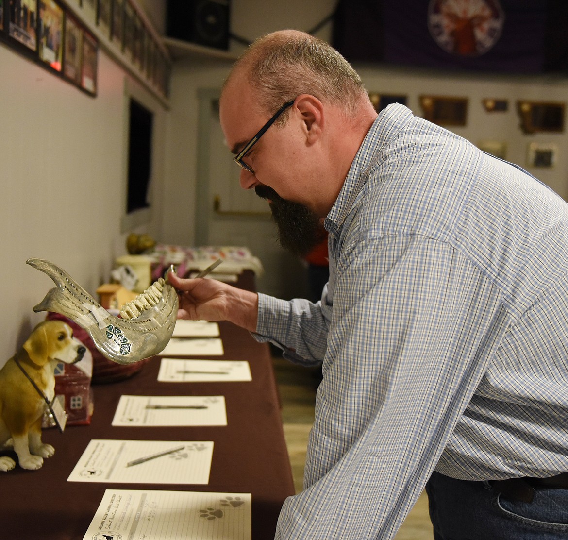 JONATHAN RODGER, a member of the Mission Valley Animal Shelter board of directors, gets a close look at a cribbage board made of an animal&#146;s jaw bone. It was one of many unique silent auction items.