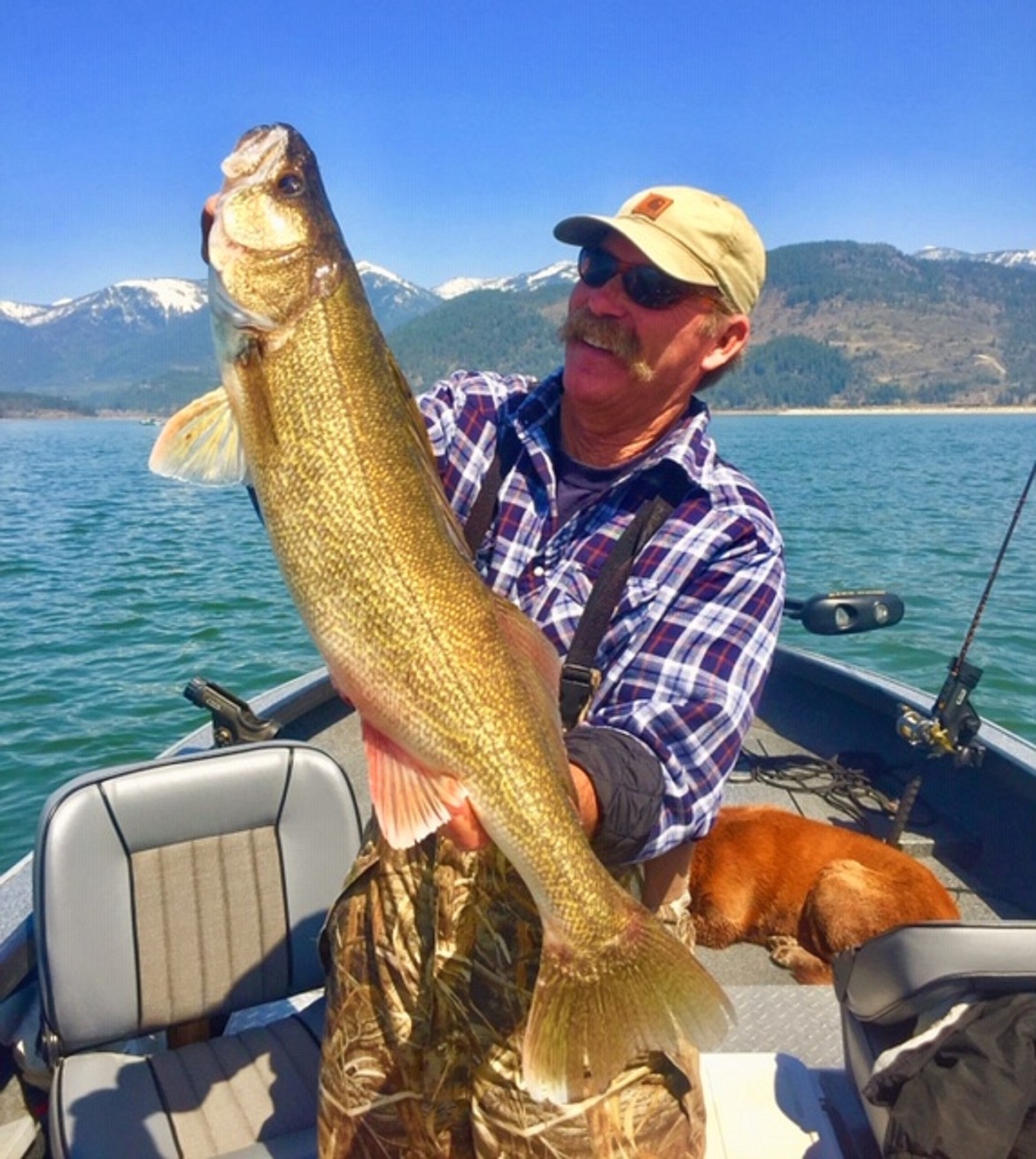 Fishing Guide Rich Lindsey hoists a 10-pound Lake Pend Oreille walleye caught in 2018. An angler incentive program pays anglers to harvest the fish in addition to efforts by the Hickey Brothers, a commercial net fishing operation based out of Wisconsin,.