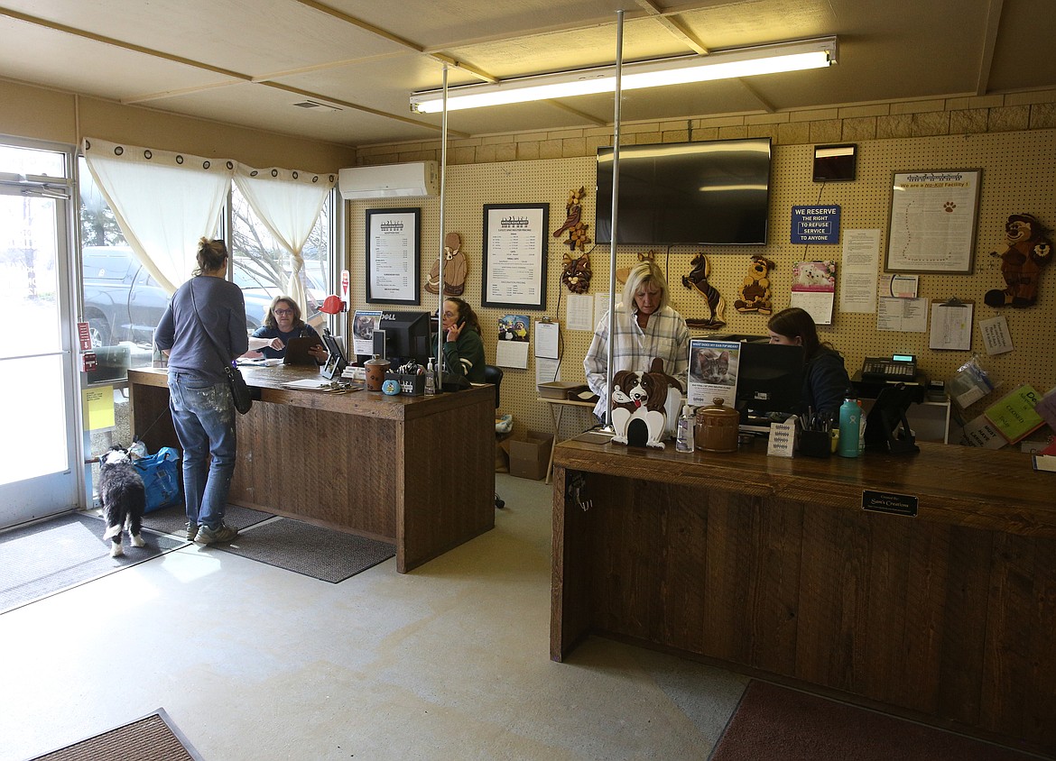 Receptionists help customers at Kootenai Humane Society on Thursday. (LOREN BENOIT/Press)