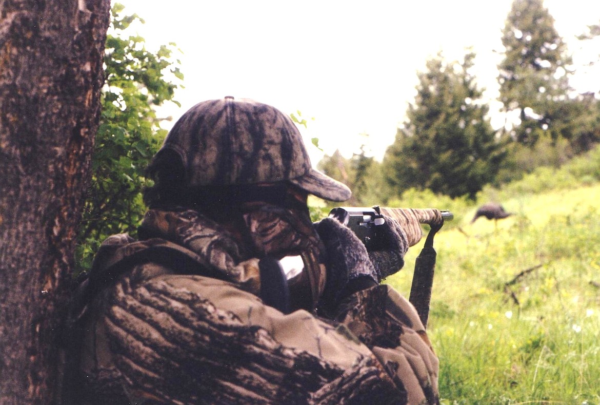 KIIRA SIITARI/Idaho Fish and Game
A turkey hunter checks his shooting lane during a spring hunt in North Idaho. The Panhandle turkey season starts April 15, while the youth hunt begins April 8.