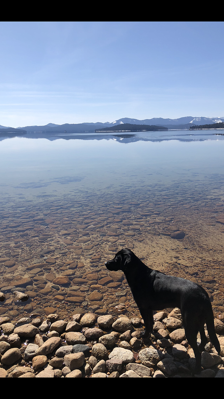 Harper at &quot;My Happy Place&quot; at Priest Lake. By Kris Chambers, Coeur d'Alene.