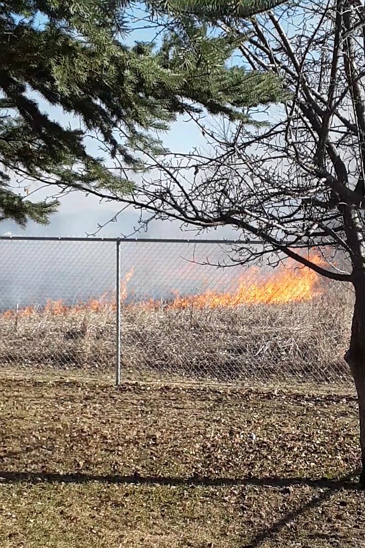 A grass fire nears Glacier State Apartments on Liberty Street on Tuesday. No injuries or structure damage was reported. (Photo courtesy of Eileen Pryor)