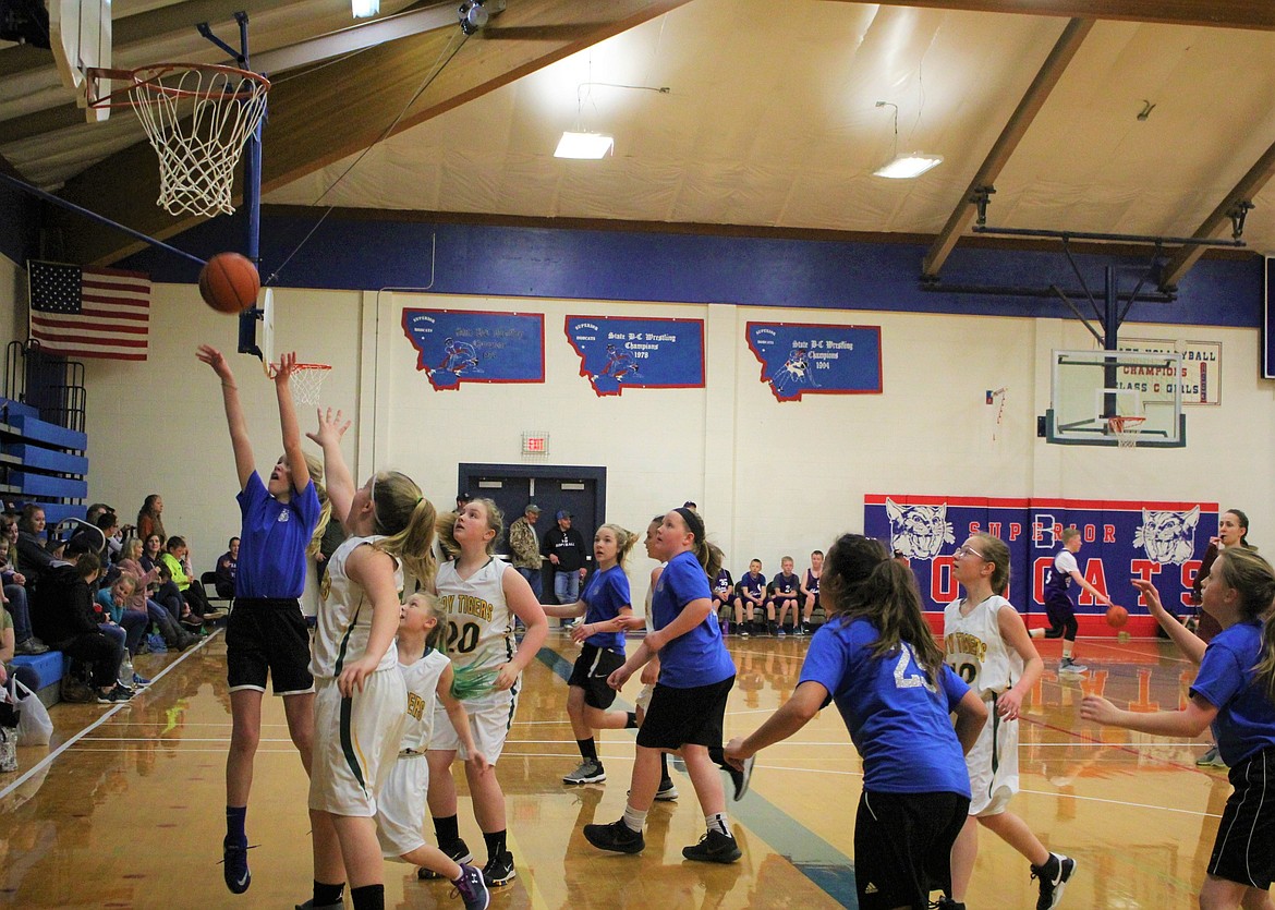 TROUT CREEK&#146;S Gabi Hunnum goes in for a layup against a St. Regis player in the fifth- and sixth-grade division during the Superior Hoop Shoot last weekend. Forty-one teams from the Northwest signed up for the tournament.