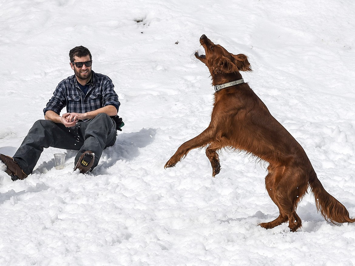 Eddy catches a snowball thrown by his owner, Grant Golden during a little downtime at Crazy Dayz at Turner Mountain March 23. (Ben Kibbey/The Western News)