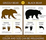 With bear season, make sure your after the right bear
