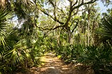A road trip to Florida includes another cool national park
