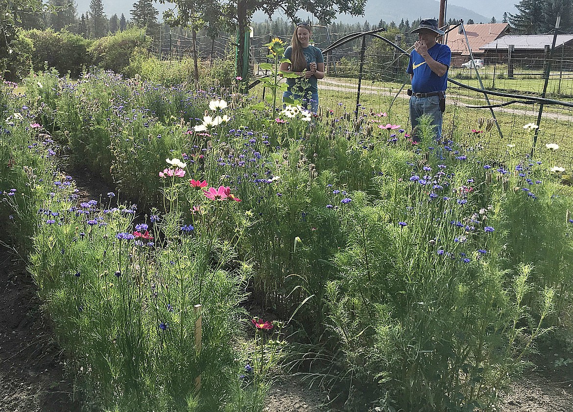 FLOWERS CAN grow interpersed with other plants in Lake County gardens. (Carolyn Hidy/Lake County Leader)