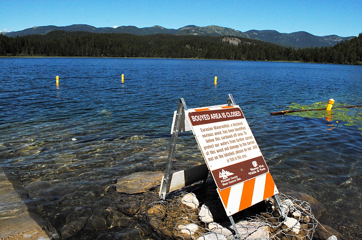 Beaver Lake efforts a rare aquatic invasive species success story ...