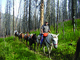 Back Country Horsemen to host Challenge Cabin event