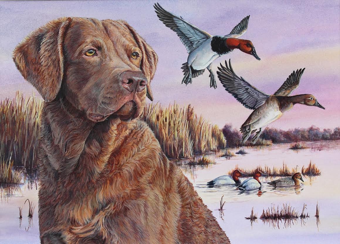 Courtesy photo
Clarkston artist Catherine Temple was chosen by the Washington Waterfowl Association to paint the 2019 Washington duck stamp depicting a chocolate lab and ring-neck ducks. In 2017 Temple&#146;s painting was selected to be Delaware&#146;s Duck Stamp.