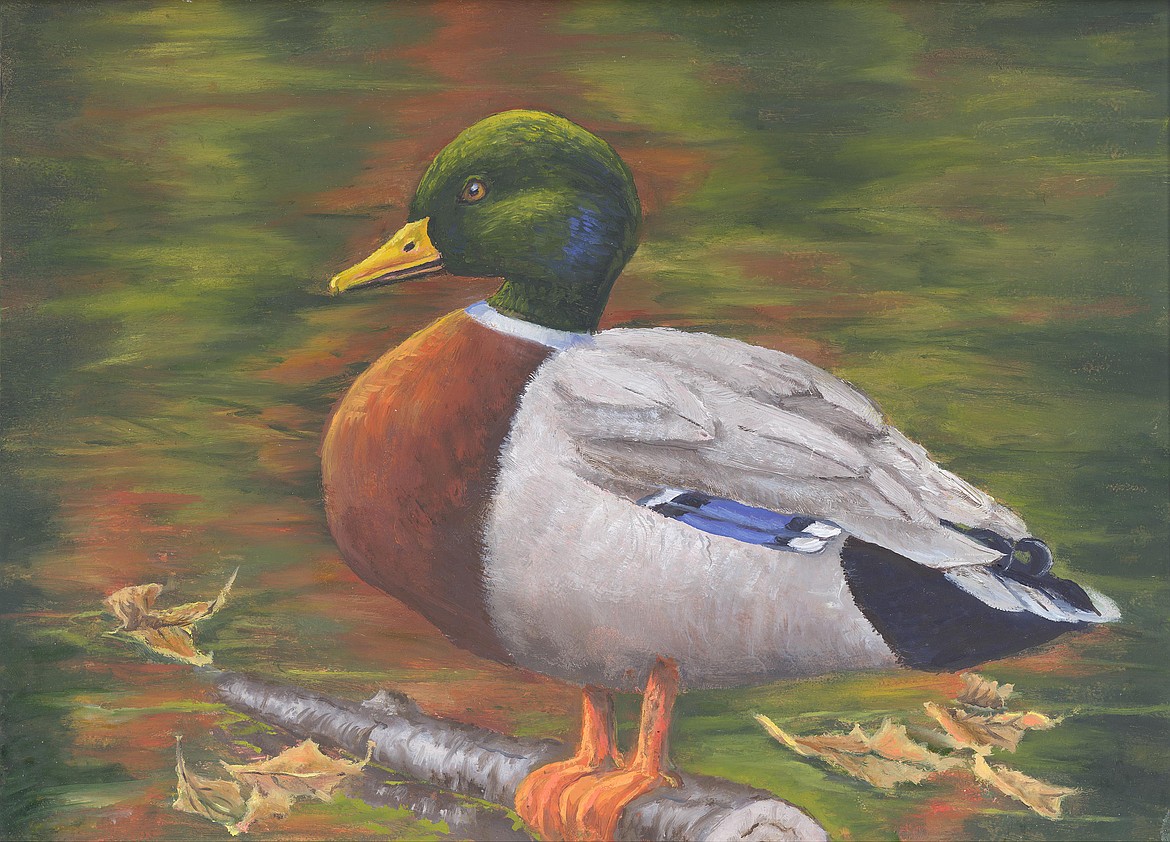 Avrye Smith of Eureka received a first-place ribbon in the fourth- through sixth-grade division of the state Junior Duck Stamp Contest.