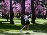 Lake City sweeps regional