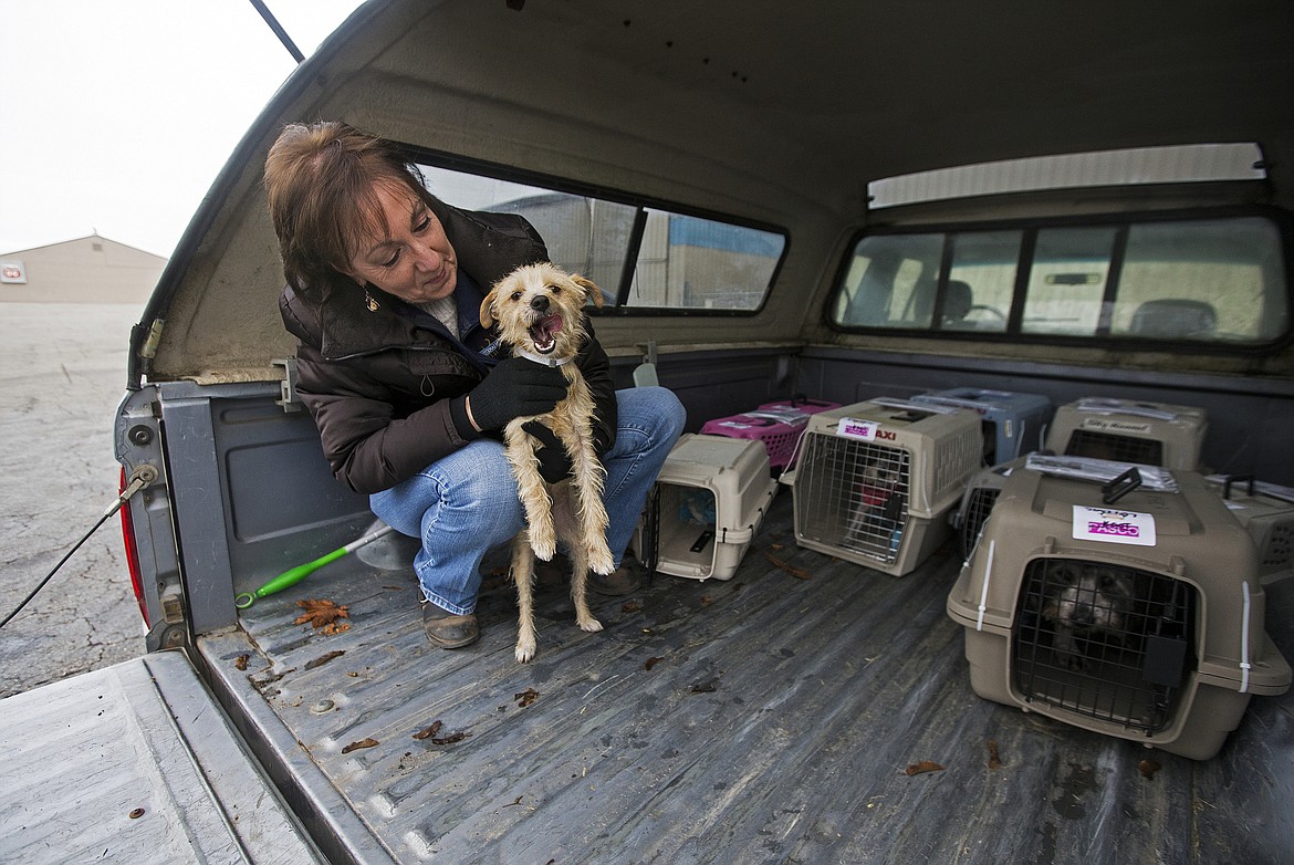 LOREN BENOIT/Press file
Vicky Nelson gives a dog a warm hug after it was airlifted to Coeur d&#146;Alene Airport for the Kootenai Humane Society in 2016.