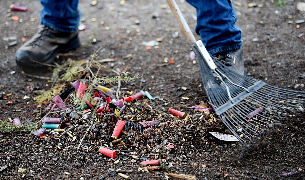 Josh Clark rakes spent shells during a cleanup in the Flathead National Forest 
near Glacier National Park.