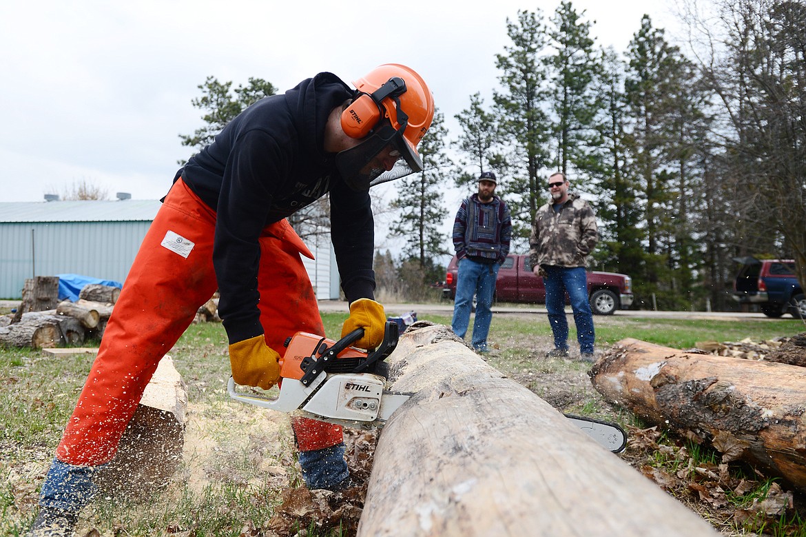 Shane Wilson, a student in the Natural Resources Conservation &amp; Management program at Flathead Valley Community College, saws through a log with a chainsaw in the college&#146;s newly-offered sawyer class at the FVCC Logger Sports Arena on Friday, April 26. (Casey Kreider/Daily Inter Lake)