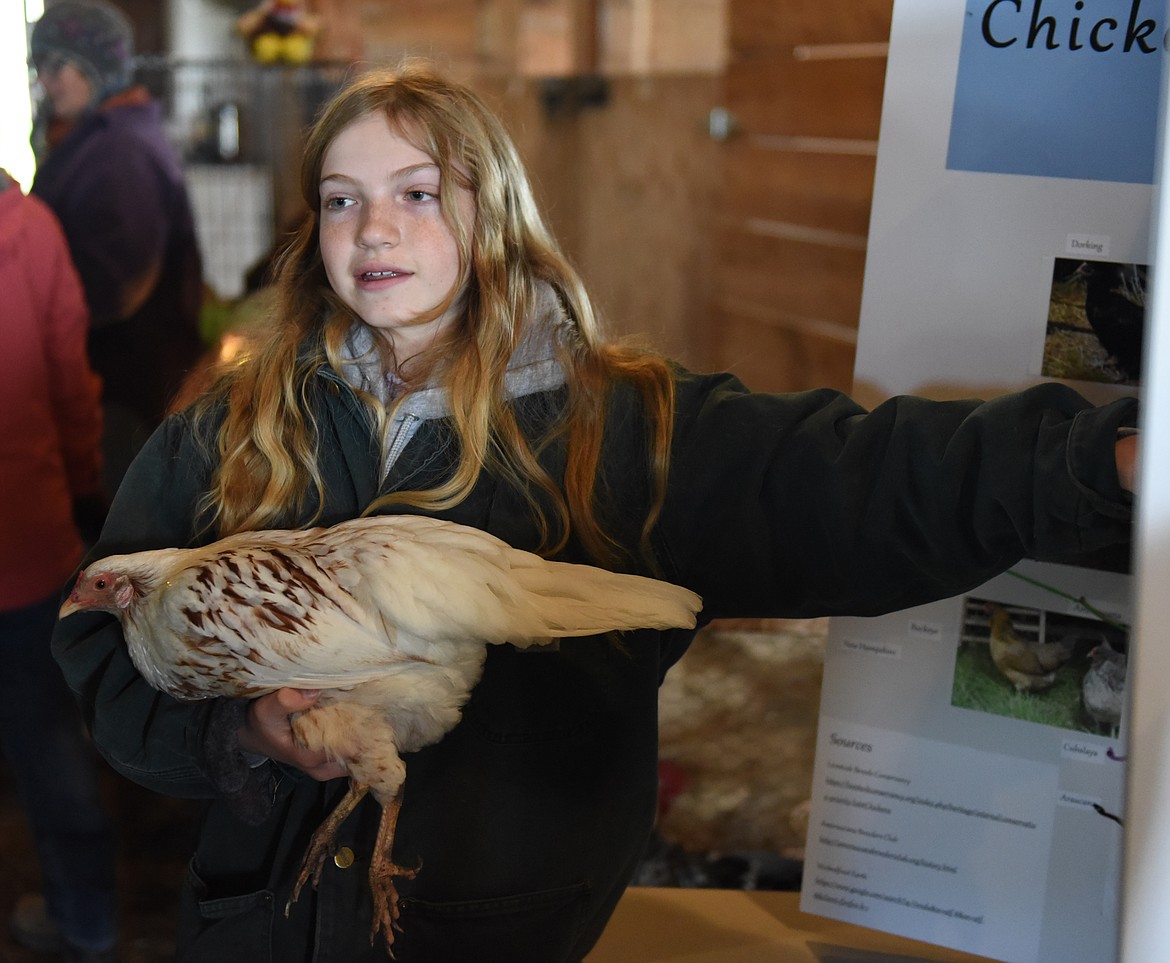 SIXTH-GRADER Lena Sturman shows one of the many chicken breeds that exist during a demonstration at Ag Day at the Polson Fairgrounds last week. Sturman was assisting Leslie Kline, who owns the Good Egg Farm just outside Ronan. (Joe Sova photos/Lake County Leader)